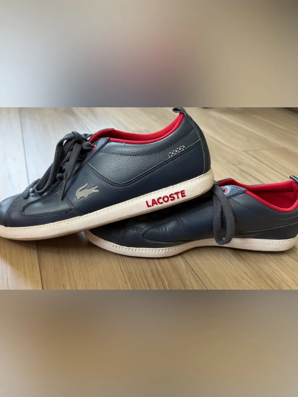 Lacoste Observe Sport Men's Navy Leather Sneaker with Red Accent Sz 8